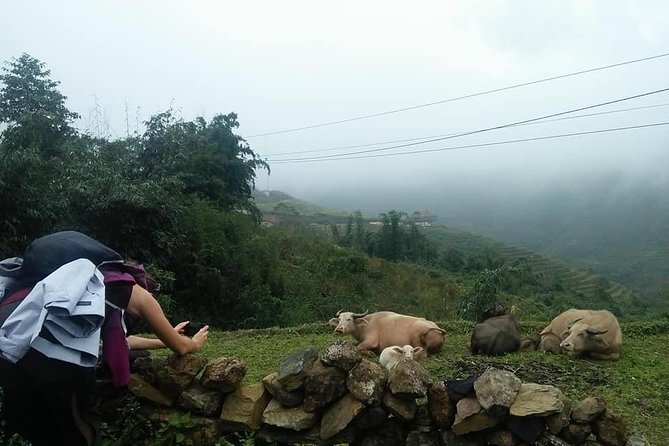 3-Day Trek in Amazing Muong Hoa Valley & ethnic Homestay - Homestay Culture: What You Can Learn Without Getting Lost