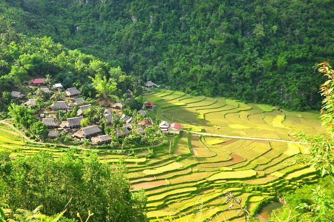 3-Day Trekking In Pu Luong Nature Reserve Private Tour - Key things I’d plan around before you go