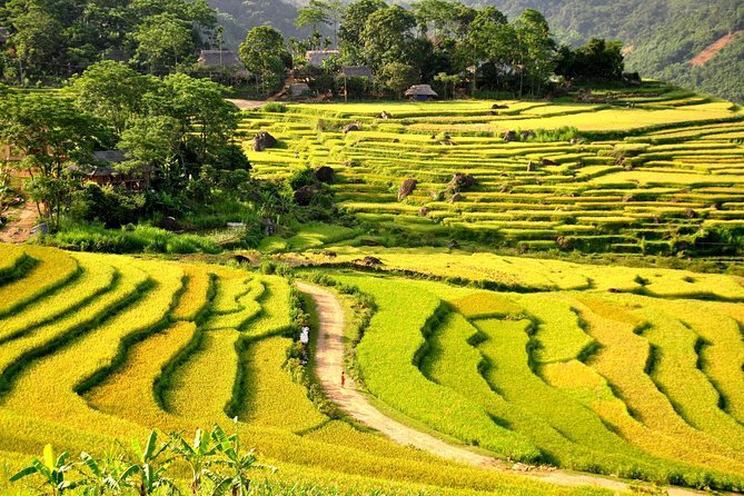 3-Day Trekking In Pu Luong Nature Reserve Private Tour - Day 2: sunrise fields, farmer life, and a day with real breathing room