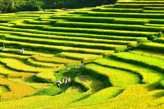 3 Days Pu Luong Off-road Trekking Best for Mountain Lovers - Key things that make this Pu Luong trek worth your time