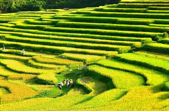 3 Days Pu Luong Off-road Trekking Best for Mountain Lovers - Day 2: Don village paddy fields, Thai weaving at Chom Lan, and Hieu Waterfall time