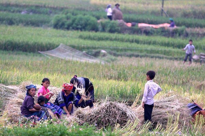 3 Days SAPA Real Experience at Local People House - Day 2 trekking to fields: learning how food actually grows