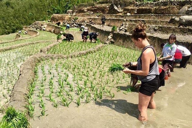 3 Days SAPA Real Experience at Local People House - The people make it: guides and the homestay moms