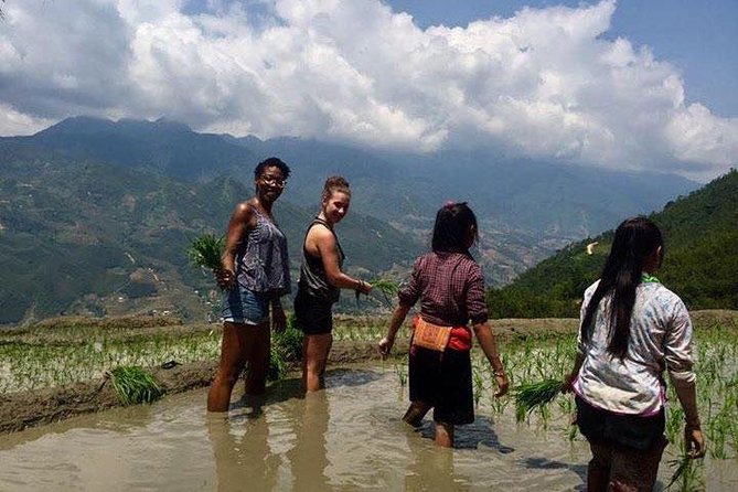 3 Days SAPA Real Experience at Local People House - Price and value: does $98 make sense?
