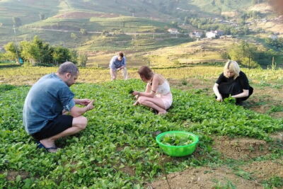 3-Days Sapa Trekking With Local Guide Overnight in Tavan Village - Sapa Town to Ta Van: Y Linh Ho, terraces, and Muong Hoa Stream