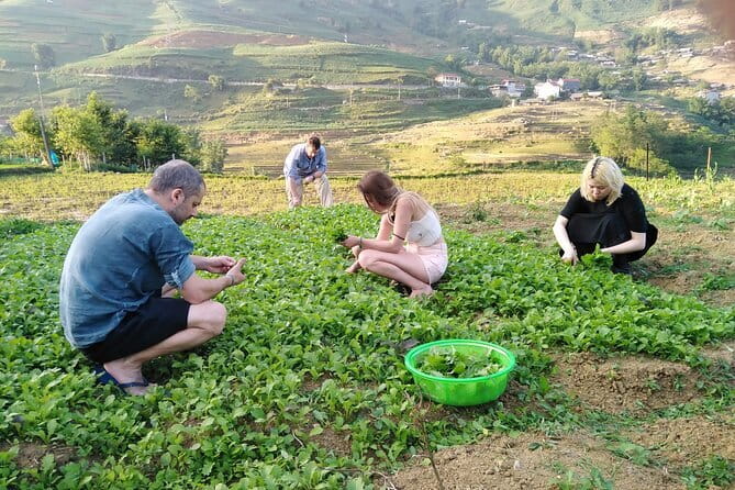 3-Days Sapa Trekking With Local Guide Overnight in Tavan Village - Sapa Town to Ta Van: Y Linh Ho, terraces, and Muong Hoa Stream
