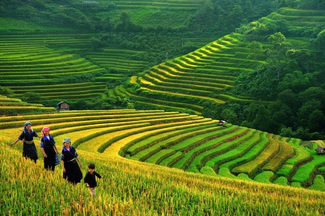 3-Night Sapa Trek and Homestay with Round Trip Transfer from Hanoi - Price and Logistics: What $218 Actually Buys