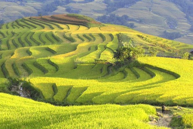3-Night Sapa Trek and Homestay with Round Trip Transfer from Hanoi - Night One on the Rails: Hanoi to Lao Cai