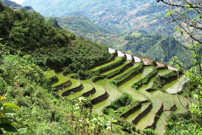 3-Night Sapa Trekking Tour from Hanoi - Dawn in Lao Cai, then Sapa: where the day actually starts