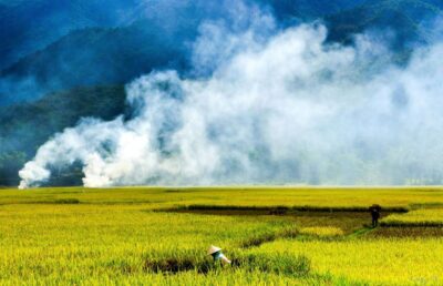 3D2N Mai Chau - Pu Luong from rice valley to nature reserve - Day 1: Hanoi to Mai Chau, then cycling and a family BBQ