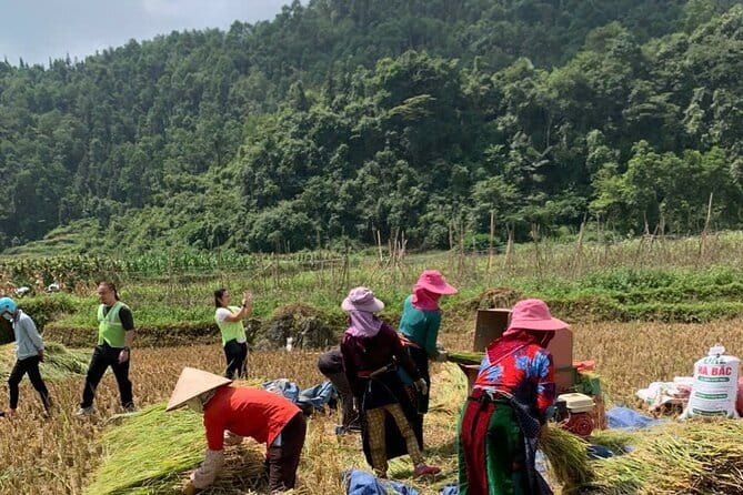 4-Days - Ha Giang loop- Cao Bang and Ban Gioc waterfall - Day 3: Nho Que River boat time to Tu San Gorge, then on to Cao Bang