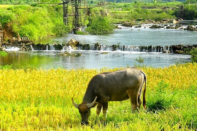 5, 6, 7 day Vietnam Itinerary | Charming | 2026 Northern Packages - Price and Logistics: what the $590 really buys you