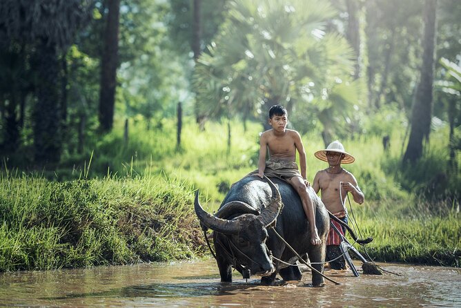 6 Days 5 Night Ha Long Bay, Ninh Binh and Sapa Tour - Key Highlights You’ll Actually Feel