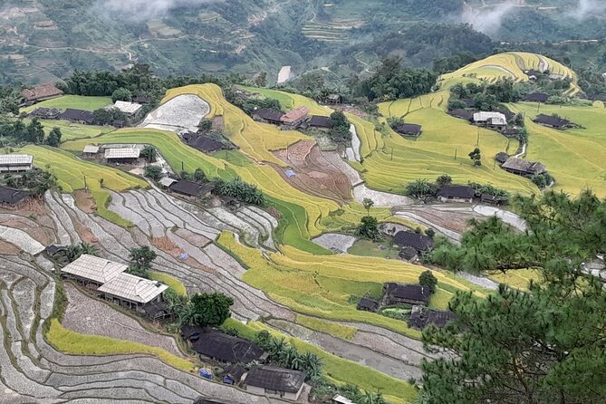 7 Days Dong Van Ha Giang Private Loop Tour with Wellness Programs - Meals and tea: health-forward without feeling weird