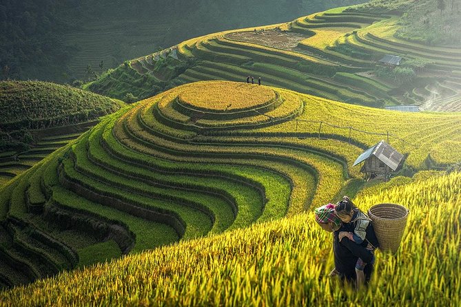 7 Days Package Hanoi- Halong -Sapa-Ninh Binh - Price and logistics: what $525 buys you (and why it’s not just a number)