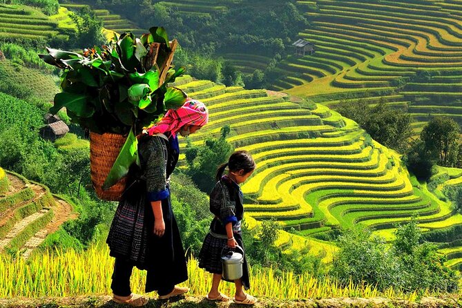 7 Days Vietnam Travel (Hanoi- Ninh Binh - Sapa - Ha Long) - Kayaking in the Natural Preservation Area: closer-to-water Halong