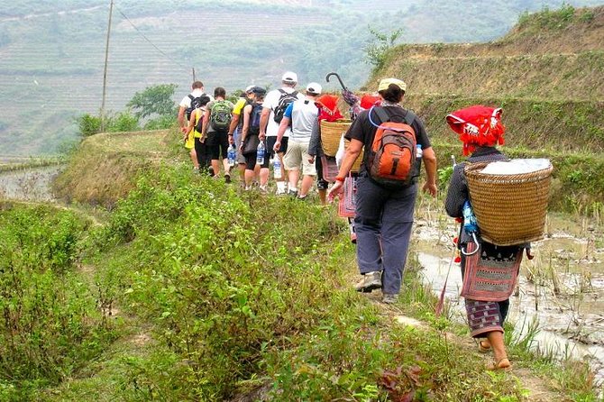 8-Day Discover Northern Vietnam Highlight: Hanoi - Ninh Binh - Sapa - Halong Bay - Overnight train to Lao Cai: a practical way to gain mountain time