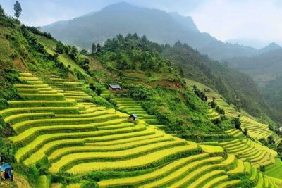 9 Days Northern Vietnam from the Mountain to the Bay - Transfer to Sapa: why the night train is the secret time-saver