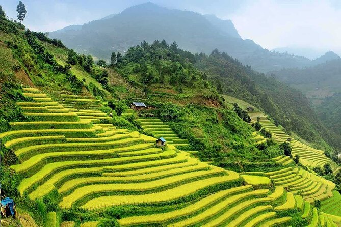 9 Days Northern Vietnam from the Mountain to the Bay - Transfer to Sapa: why the night train is the secret time-saver
