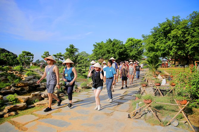 A Comfortable Trang An - Bai Dinh Limousine small group tour 1 day - Food, Tea, and the Comfort Details That Add Up