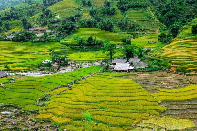 A day Trek to Rice Field in LaoChai-Tavan village-MuongHoa valley - Key highlights before you go