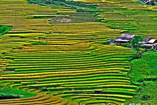 A day Trek to Rice Field in LaoChai-Tavan village-MuongHoa valley - Lao Chai and Ta Van: walking between terraces and homes