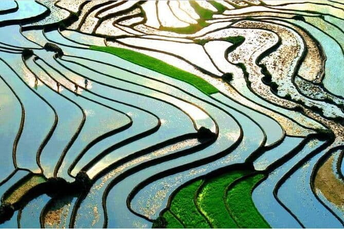 A day Trek to Rice Field in LaoChai-Tavan village-MuongHoa valley - Lunch, water, and the small comforts that matter