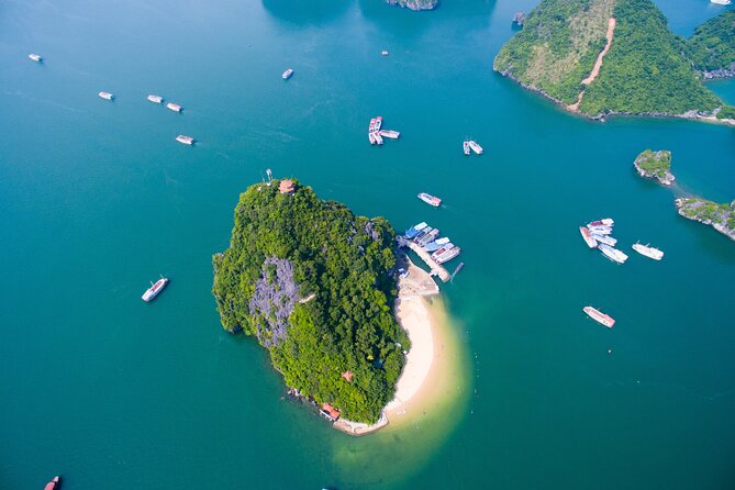 All Inclusive Cruise Tour at Halong Bay - Service and organization: pickup timing, guide help, and group size