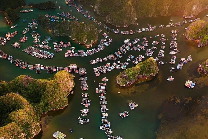 Amazing day - Boat trip discover real Ha Long Bay and Lan Ha Bay - Getting to Bến Bèo at 8:00: the day starts simple