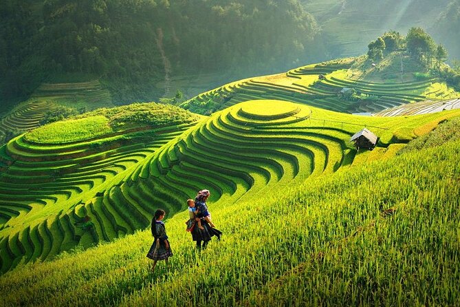 Amazing Sapa Fansipan Cable Car - Trekking: Fun, Majestic fr Sapa - Trekking in Sapa: Fun, Majestic, and Physically Real