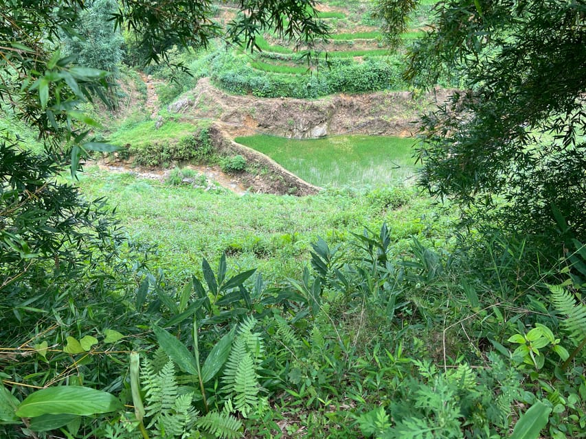 AUTHENIC 2D1N Trek & Bungalow Retreat with Dinh Hmong Family - Lunch, Return to Sapa, and the Finish at 2:00–3:30 PM