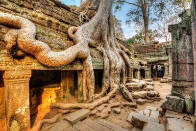 Authentic of Vietnam & Cambodia Tour - full package - Halong Bay overnight cruise: the night you’ll remember (Days 3–4)
