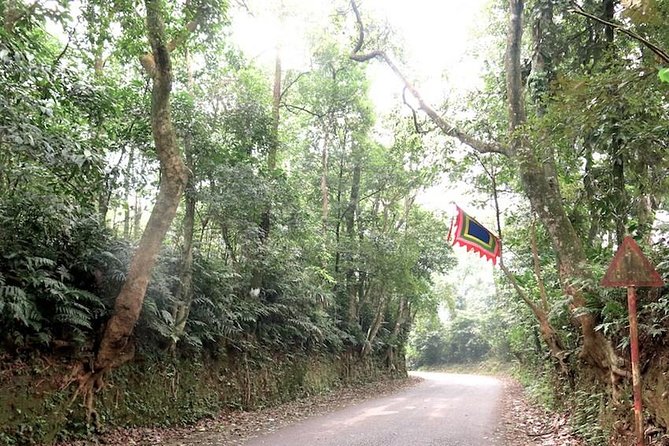 Ba Vi National Park Private Tour: Sightseeings & Jungle Hikking - Ba Vi National Park as a real day escape from Hanoi