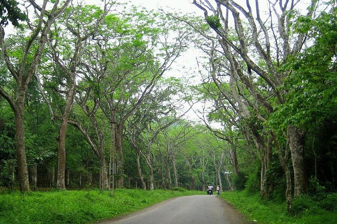 Ba Vi National Park Private Tour: Sightseeings & Jungle Hikking - Tàn Tích Nhà Tù Thời Pháp French prison ruins: a heavy stop, handled briefly