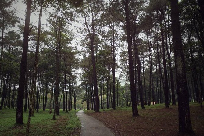 Ba Vi National Park Private Tour: Sightseeings & Jungle Hikking - A closer look at the included value: $75 and what it covers
