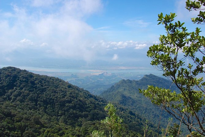 Ba Vi National Park Private Tour: Sightseeings & Jungle Hikking - Jungle hiking and the step-count reality near the top