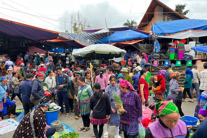 Bắc Hà Sunday Market Tour 2 days and 1 night - Homestay night: dinner and the mountain view from real life