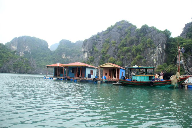 Bai Tu Long bay Boutique Cruise 2D/1N: Kayaking & swimming at pristine places - Price and value: what $140 covers and what can add up