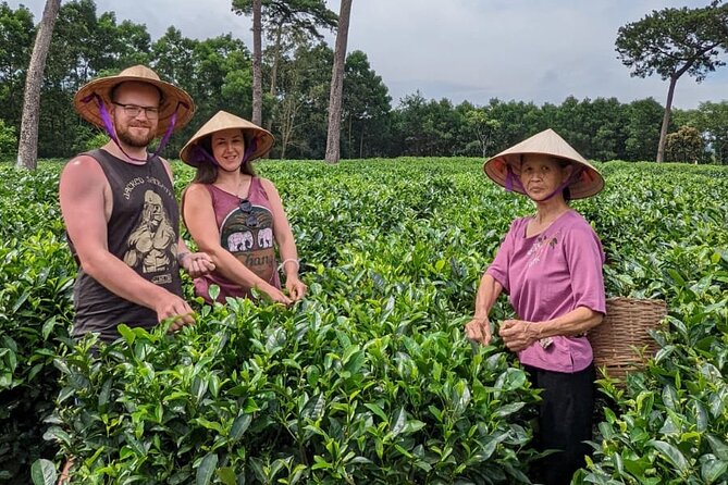 Bavi Eco Tour: Immerse in Authentic Village Life Outside Hanoi - A Small-Group Ba Vi Day Trip That Feels Human-Scale