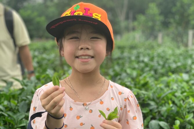 Bavi Eco Tour: Immerse in Authentic Village Life Outside Hanoi - Price and Value: What $199 Includes (and Why It Adds Up)