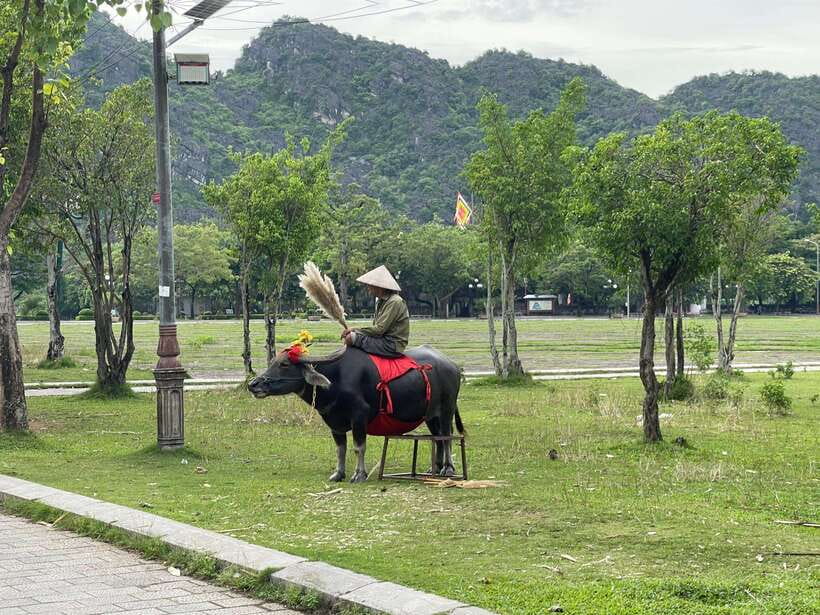 Best Ninh Binh Tour 1-Day, Small Group - Multiple Options - Mua Cave viewpoint: the only real uphill workout