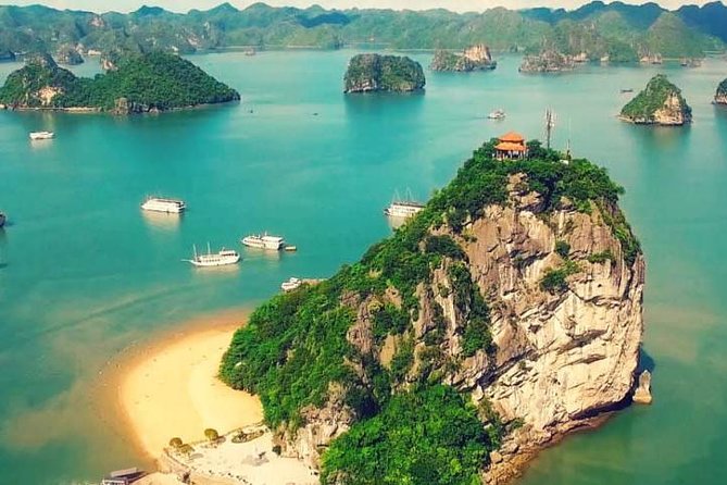 Best Premium Halong Bay Cruise from Halong International Port - Luon Cave and Lunch at Sea: Comfort Mid-Day