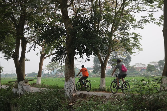 Bicycle Tour Full Day Explore Red River Delta & Rural Villages - Bike setup and the 8:00 launch: get your comfort right early