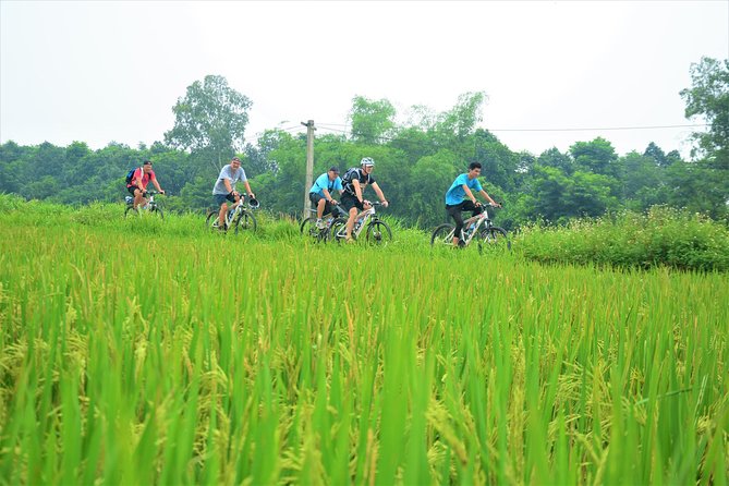 Bicycle Tours Hanoi: Full Day Bicycle Tour Hanoi Countryside - Ho Truc Bach to Long Bien Bridge: Village Lanes and a Classic Crossing
