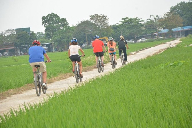 Bicycle Tours Hanoi: Full Day Bicycle Tour Hanoi Countryside - Lại Đà and Local Craft Moments: Fruit, Workshops, and Dirt-Road Reality