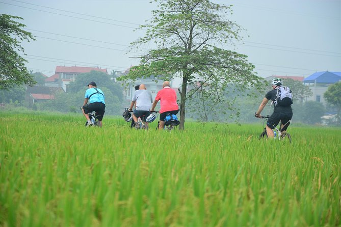 Bicycle Tours Hanoi: Full Day Bicycle Tour Hanoi Countryside - The Red River Cruise Back: Mixing Pedal Power With Boat Time