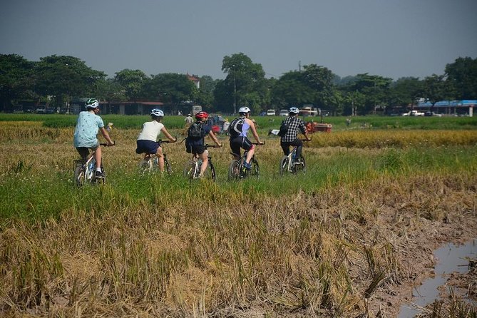 Bicycle Tours Hanoi: Full Day Bicycle Tours City & Countryside - Co Loa Citadel, a wet market taste, and lotus lake sugarcane