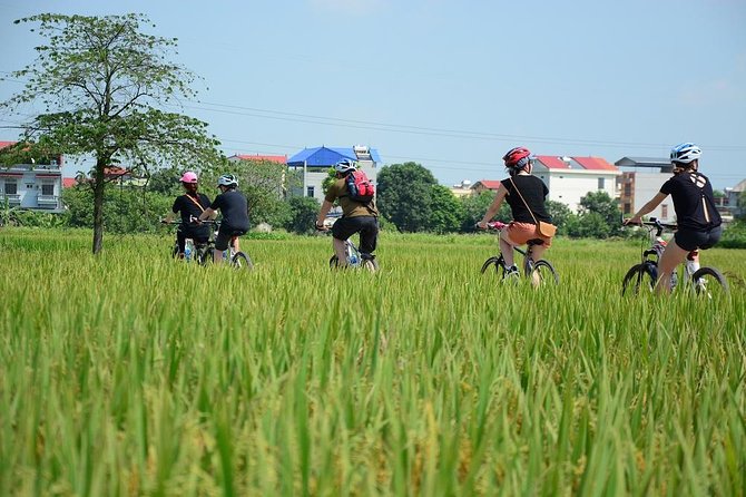 Bicycle Tours Hanoi: Full Day Bicycle Tours City & Countryside - Red River time at Dong Anh: farms, water, and breathing room