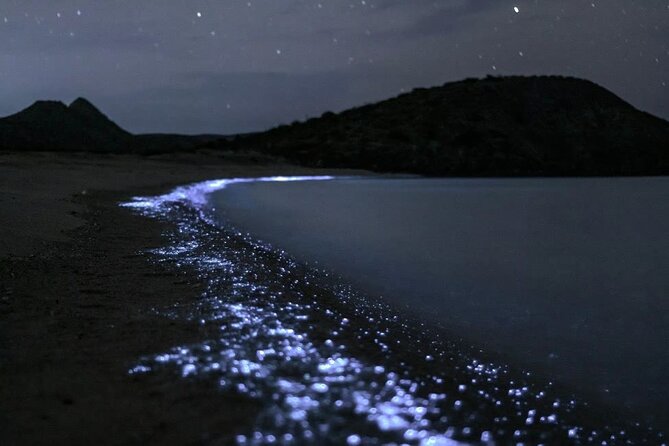 Bioluminescent Plankton Kayak Boat Tour - Key highlights you’ll care about