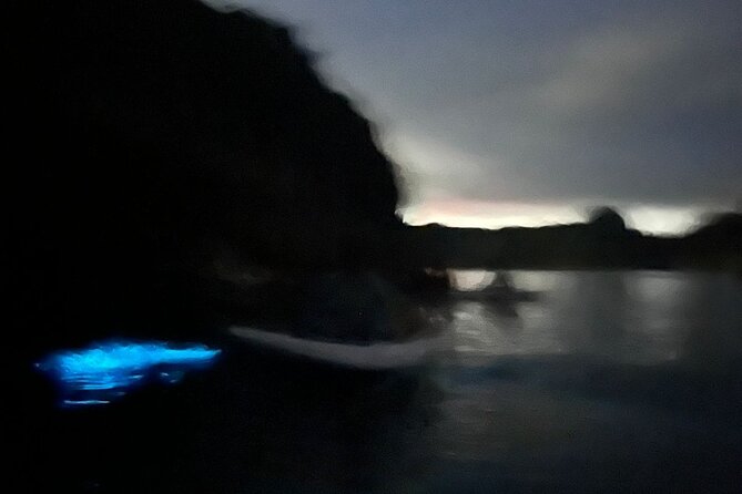 Bioluminescent Plankton Kayak Boat Tour - Logistics that help you enjoy it (instead of endure it)